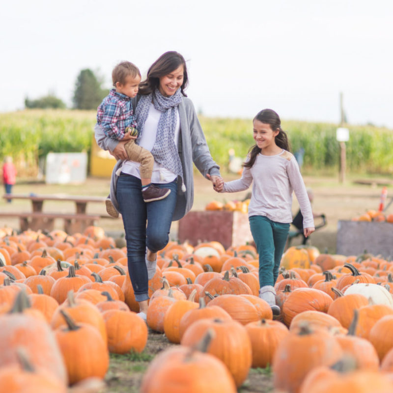 Pumpkin Patch Perambulation