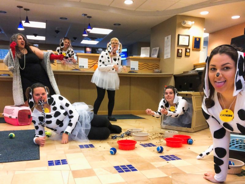 Scarborough staff dressed as dogs from 101 Dalmatians
