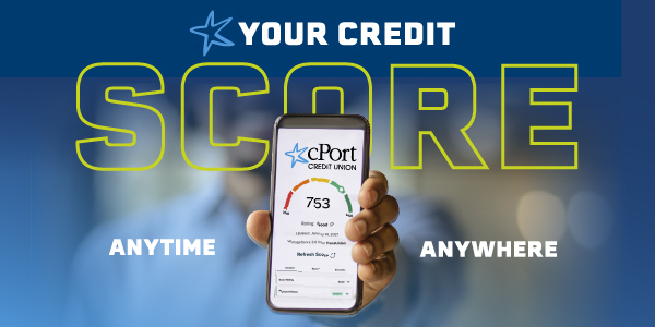 Web Page Feature Credit Score