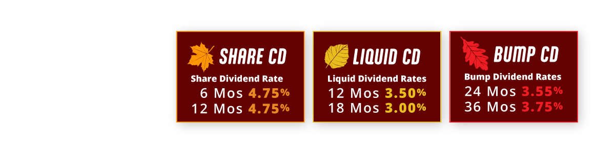 CD Specials Fall2023 LP high certificate rates