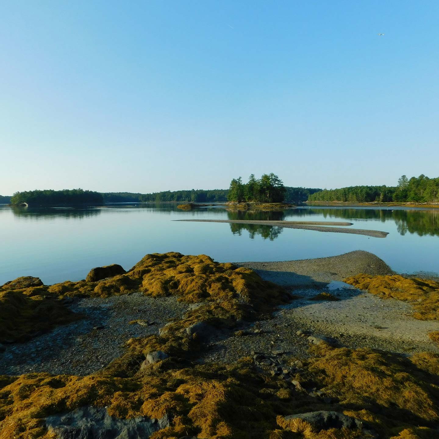 Brunswick, Maine Calendar cover winner