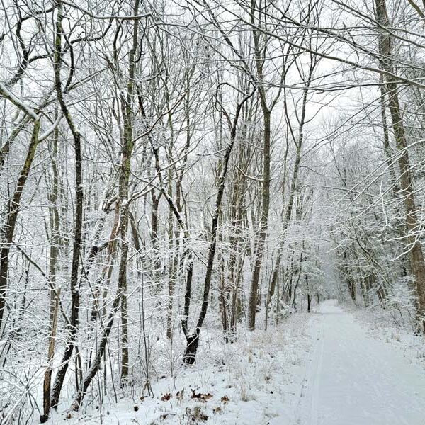 cPort 2026 Calendar January