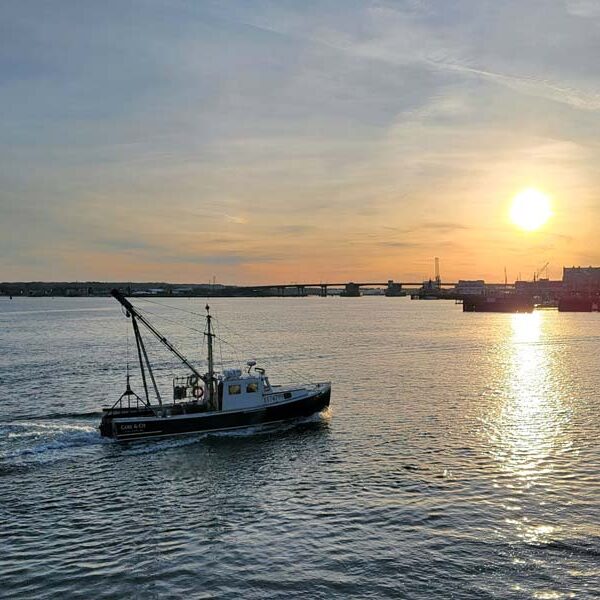 cPort 2026 Calendar June