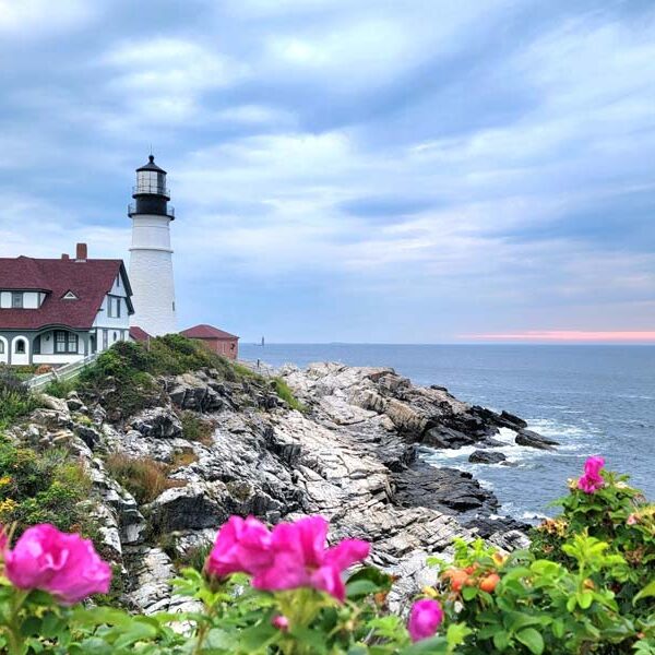 cPort 2026 Calendar May