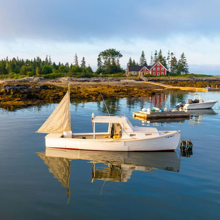 Will Honan Back Cover Boothbay Morning Cropped Will Honan Back Cover Boothbay Morning Cropped
